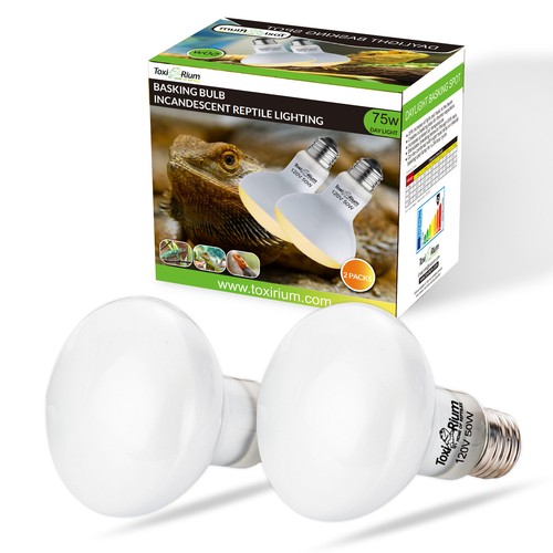 Reptile heat lamp - heat, to