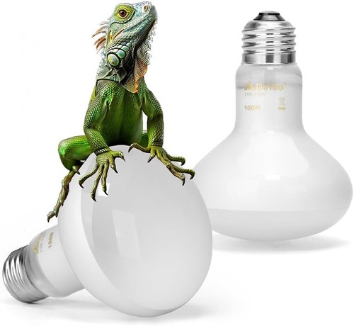 100w reptile heat - 100w, lamp