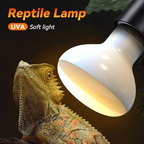 E27 daylight heat bulb - daylight,