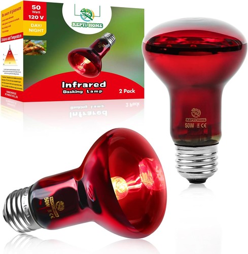 Infrared reptile heat - reptile,