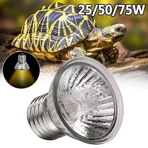 3pc reptile light - light, uv