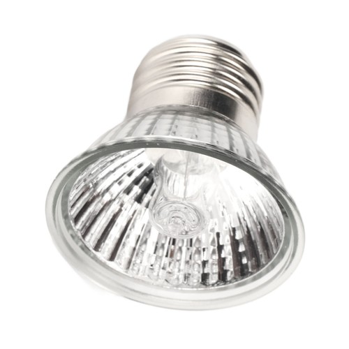 Reptile heat lamp bulb - reptile,