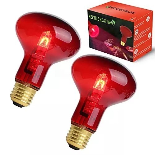 Reptile red heat lamp - reptile, bulb