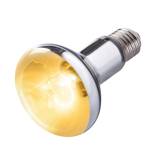 100w reptile heat lamp - heat,