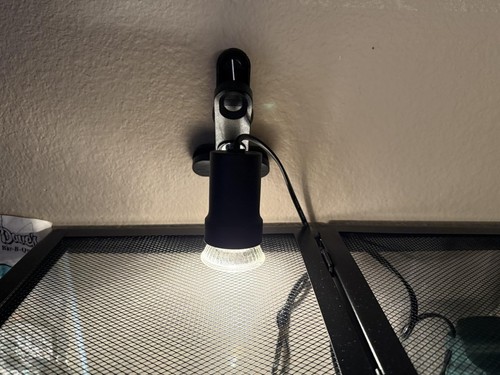 50w reptile heat - heat, uva