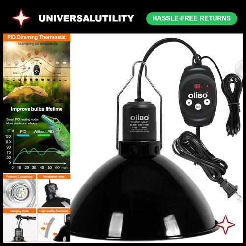 Reptile heat lamp fixture with - lamp,