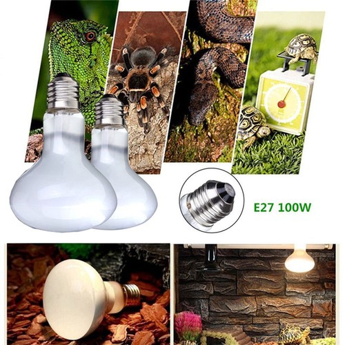 1pc 100w uva reptile - 1pc,