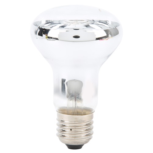 Reptile heat lamp bulb - reptile, uva
