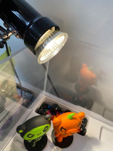 Reptile heat lamp with - lamp, 50w