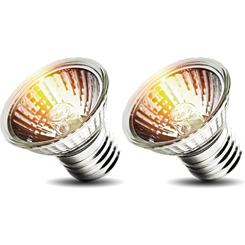 Reptile heat lamp 50w - reptile,