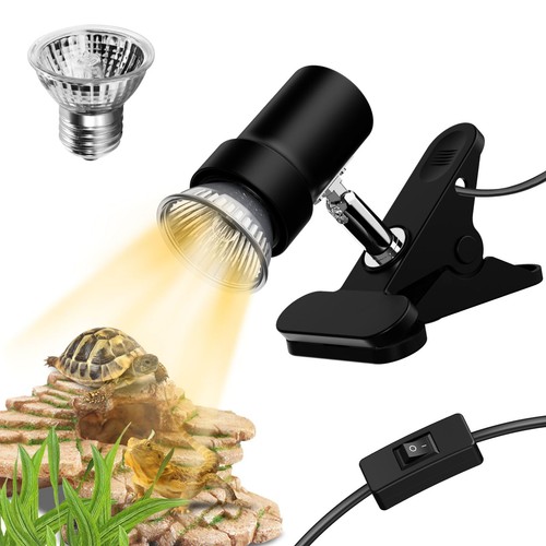 Reptile heat lamp turtle - heat, lamp,
