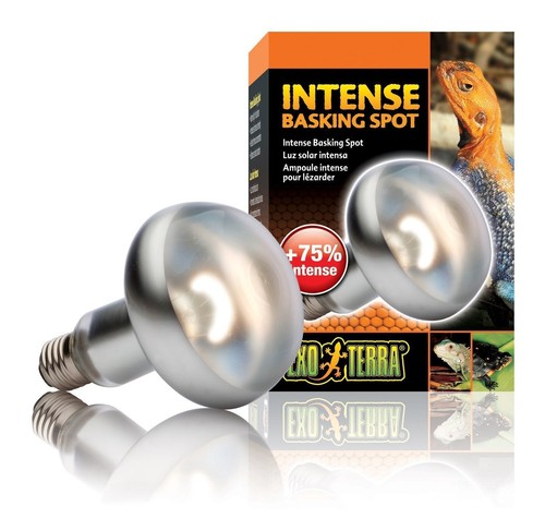 Exo terra intense - terra, spot