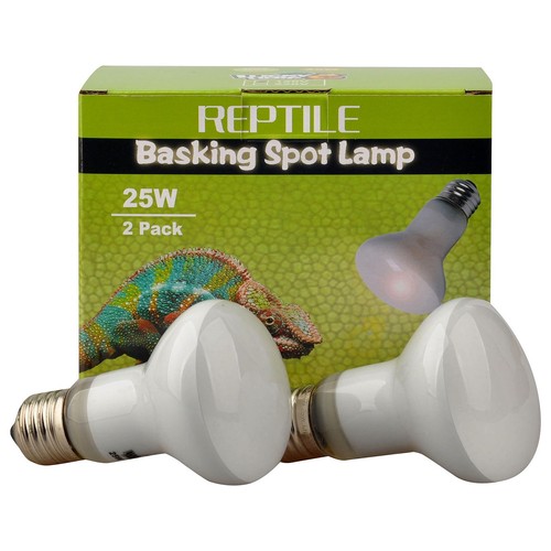 Reptile basking spot - basking,