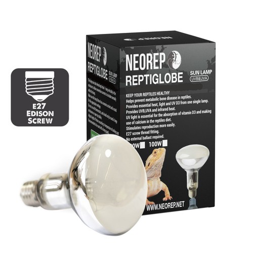 Neorep tortoise reptile - tortoise,