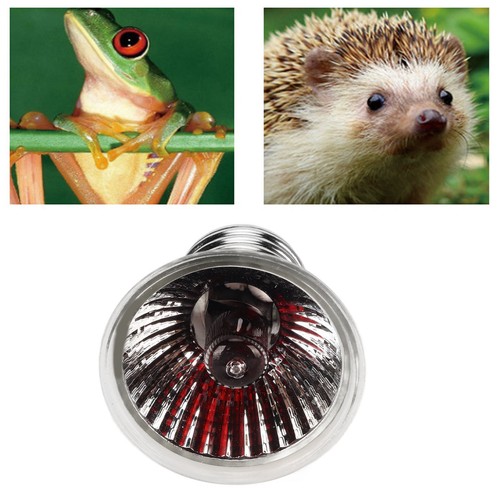 Reptile heat lamp replacement - reptile,