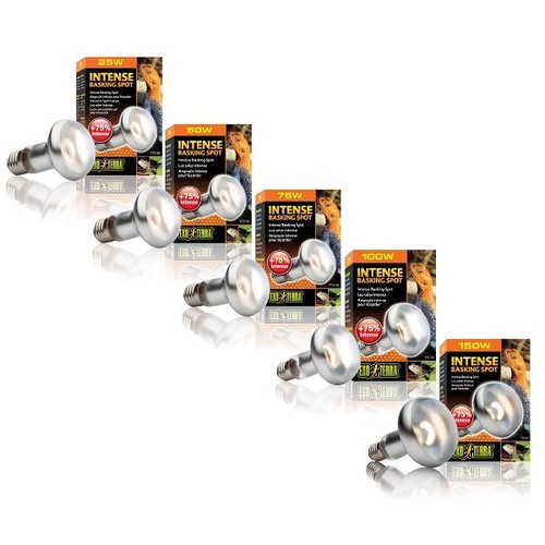 Exo terra intense - terra,