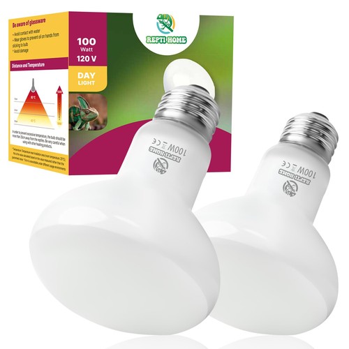 Repti home reptile - reptile, heat