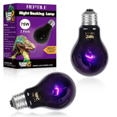 Reptile heat lamp 75w pack - heat, 2