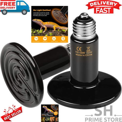 Pack ceramic heat - 2-pack,