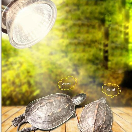 Reptile lamp uva uvb pet - reptile,