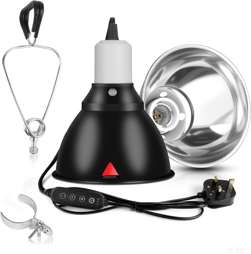 Tortoise heat lamp with - tortoise,