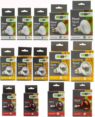 Prorep reptile light heat - reptile, bulb
