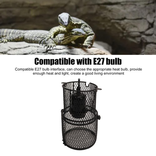 Reptile heat lamp - heat,