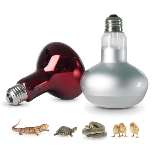 Reptile heat lamp - , 150w