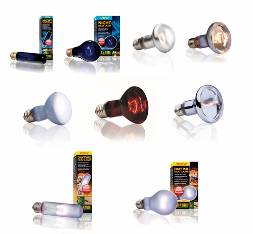 Exo terra bulb reptile - exo,