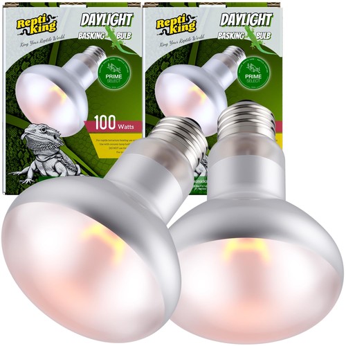 Reptile heat bulb - heat,
