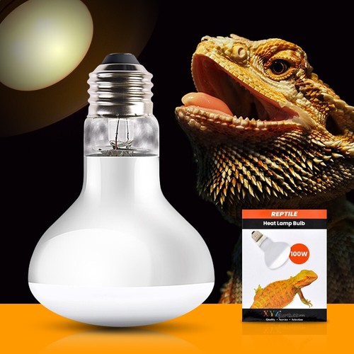 Uva reptile heat lamp - lamp, watt