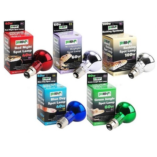Prorep reptile light bulb - bulb, heat