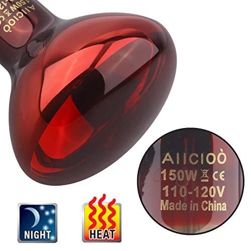 Aiicioo pack reptile night - pack,