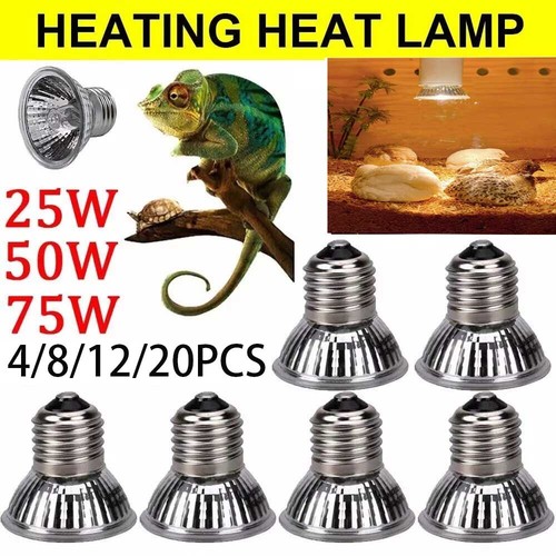 220v 75w reptile - 25/50/75w, lamp