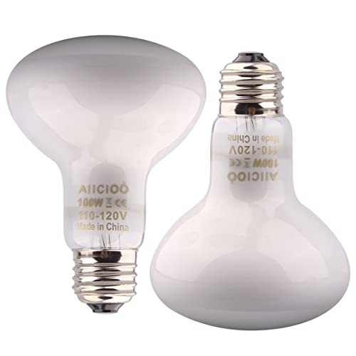 Aiicioo reptile basking - aiicioo, light