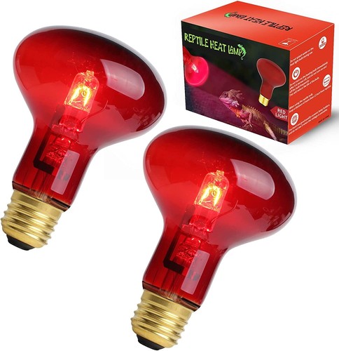 Reptile red heat - reptile,