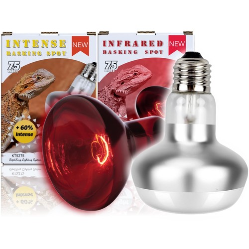 Reptile heat lamp pack 75w - heat,