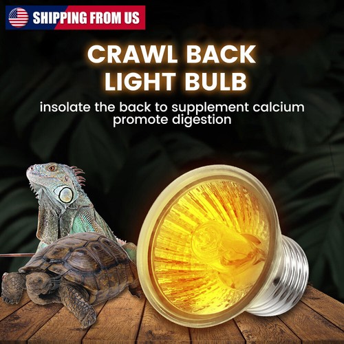 Reptile heat lamp - reptile,