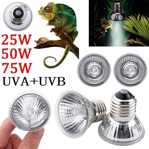 Reptile light bulb heat - reptile,
