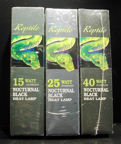 Reptile nocturnal black heat - nocturnal,