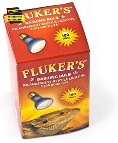 Incandescent basking spotlight - incandescent,